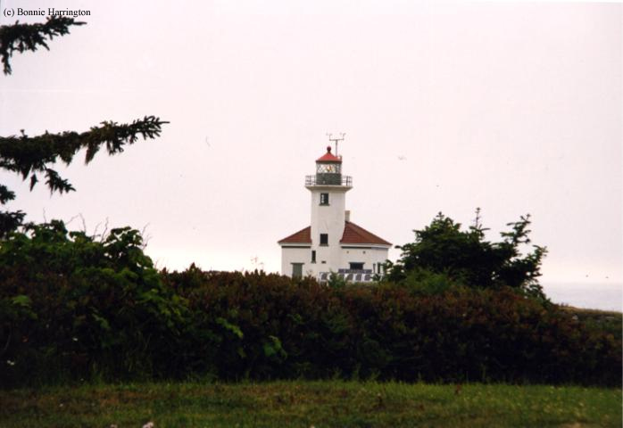 Photo of the Cape Arago Lighthouse.