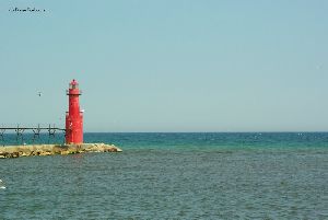 Birds soar by the lighthouse.