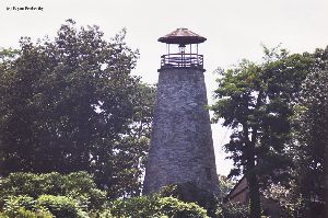 Distance shot, with trees all around the tower.