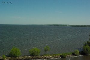 Looking north up the lake.