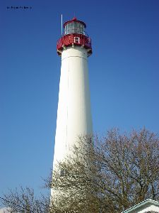 The tower.