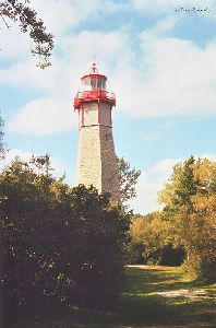 The lighthouse towering over the trees.