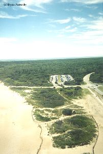 PRE MOVE: Looking out from the top. If you follow the line straight into the trees, that is where Hatteras will have been moved.