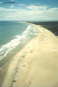 PRE MOVE: Looking south down the beach.