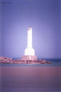 Beautiful close up shot.