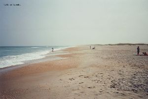 The unspoiled beaches.