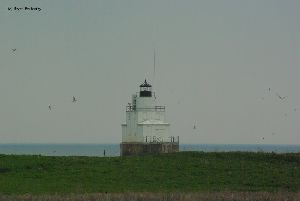Lighthouse in distance.