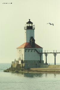 A bird soars near the lighthouse.