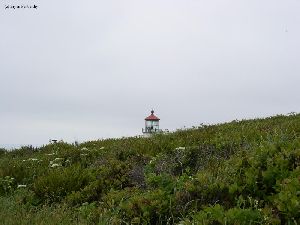 The lighthouse from a distance.