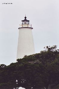 The lighthouse towers over the trees.