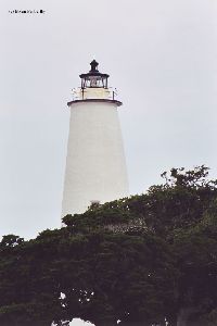 The lighthouse rises above the trees.