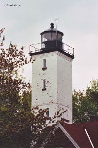 Upper half of the tower with trees.